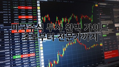미국주식 투자 완벽 가이드: 초보부터 전문가까지