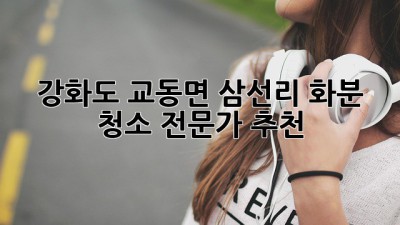 강화도 교동면 삼선리 화분 청소 전문가 추천