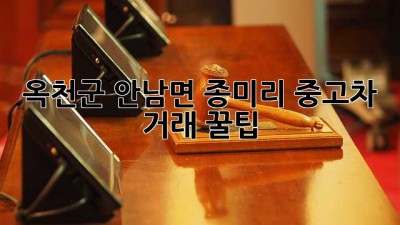 옥천군 안남면 종미리 중고차 거래 꿀팁! 🚗💨